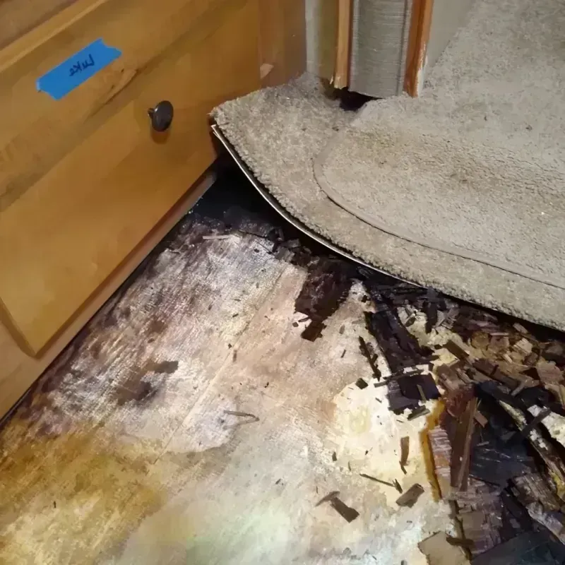 Wood Floor Water Damage in Uptown, IL